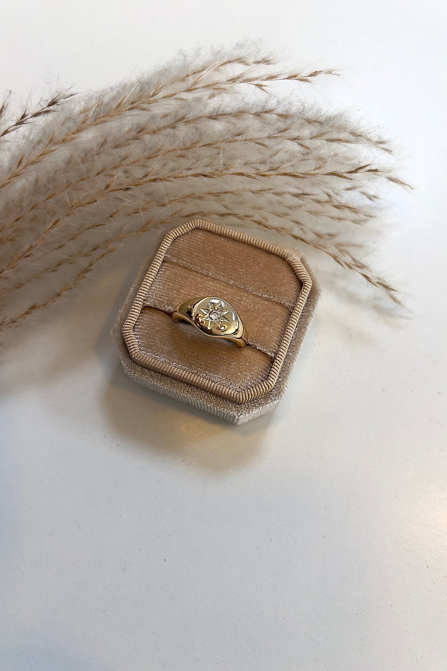 Eli Ring