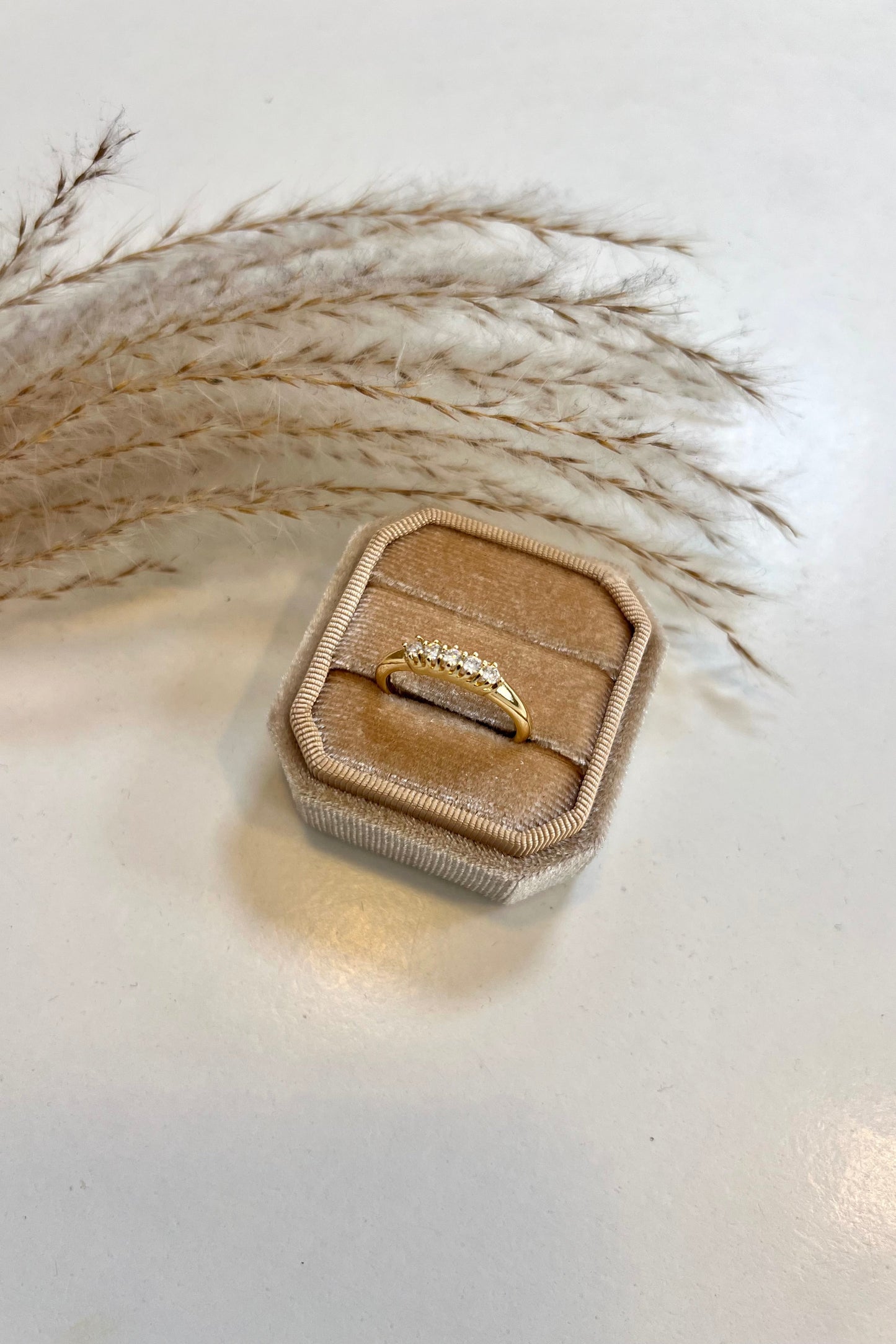 Alva Ring