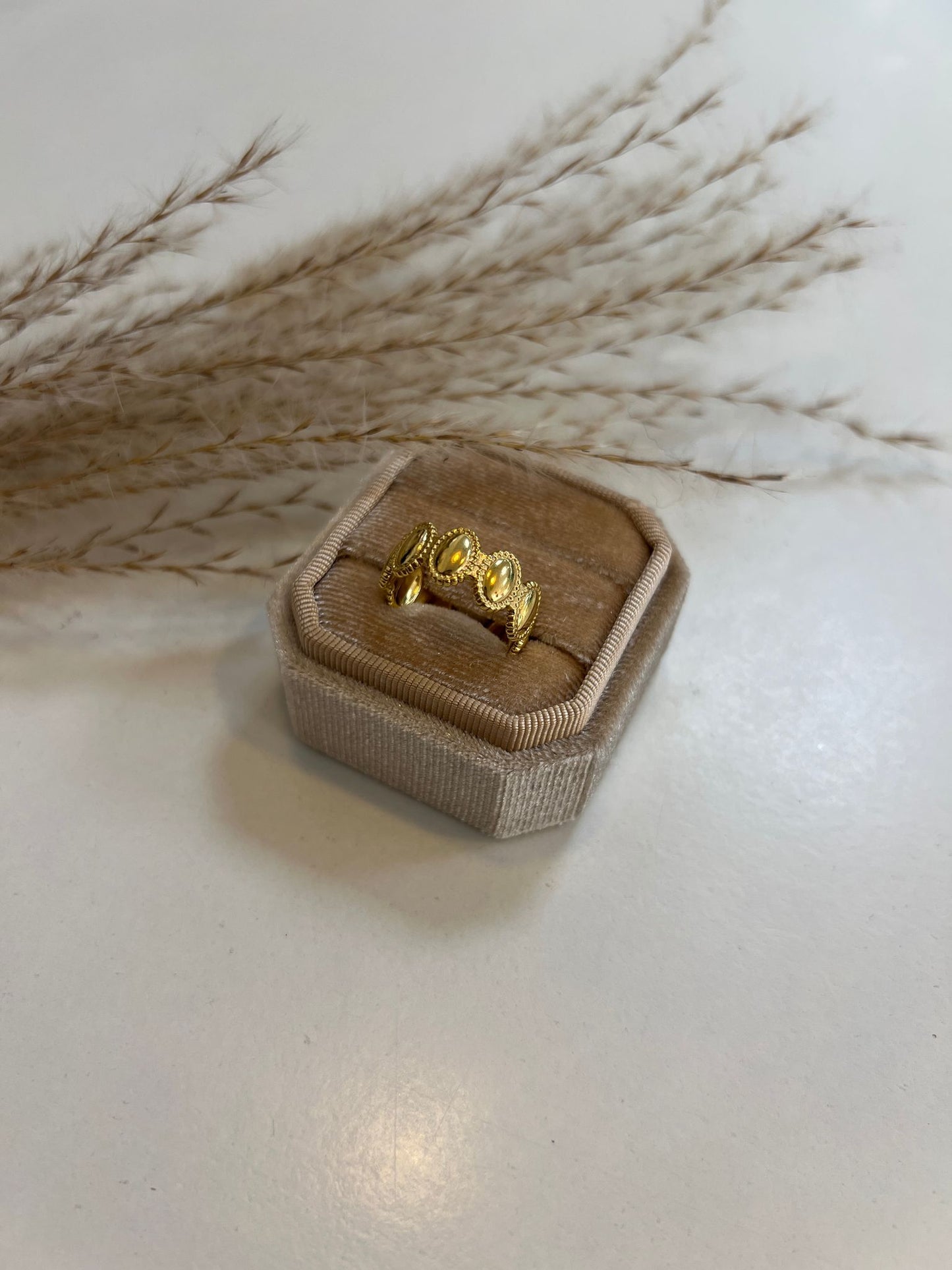 Ring Arem Gold & Silver