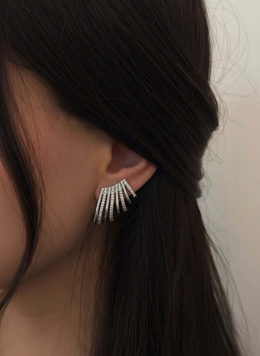 Silver Glam Ohrringe