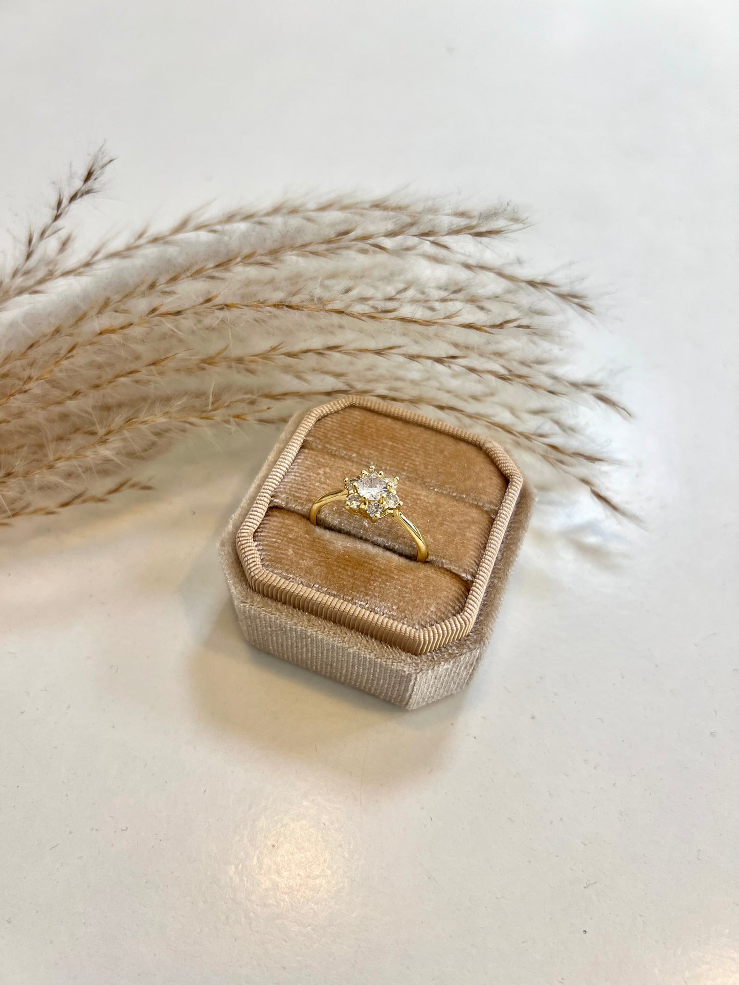 Amie Ring