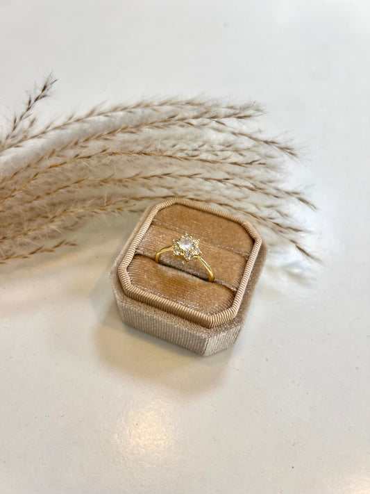 Amie Ring