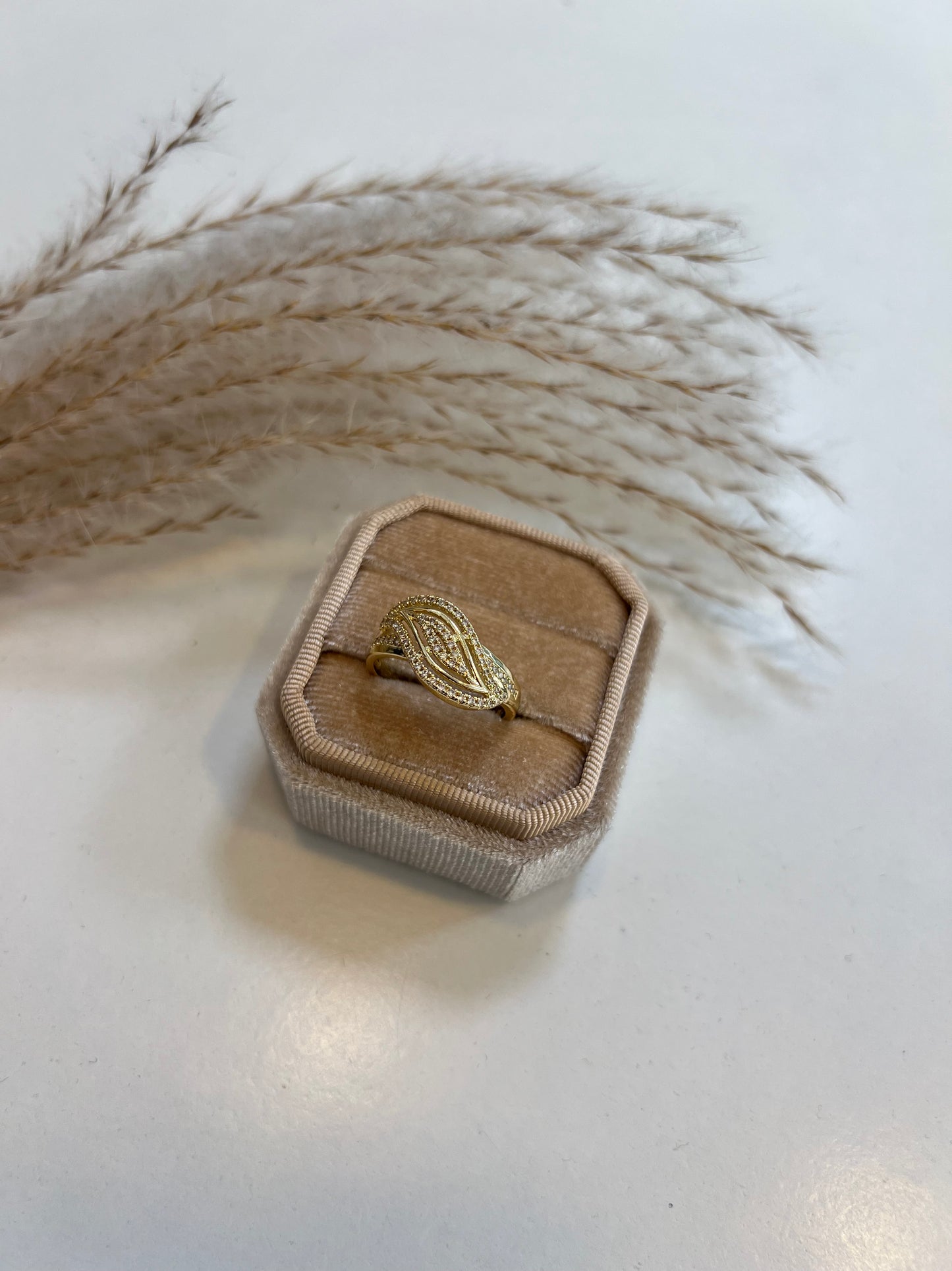 Jil Ring