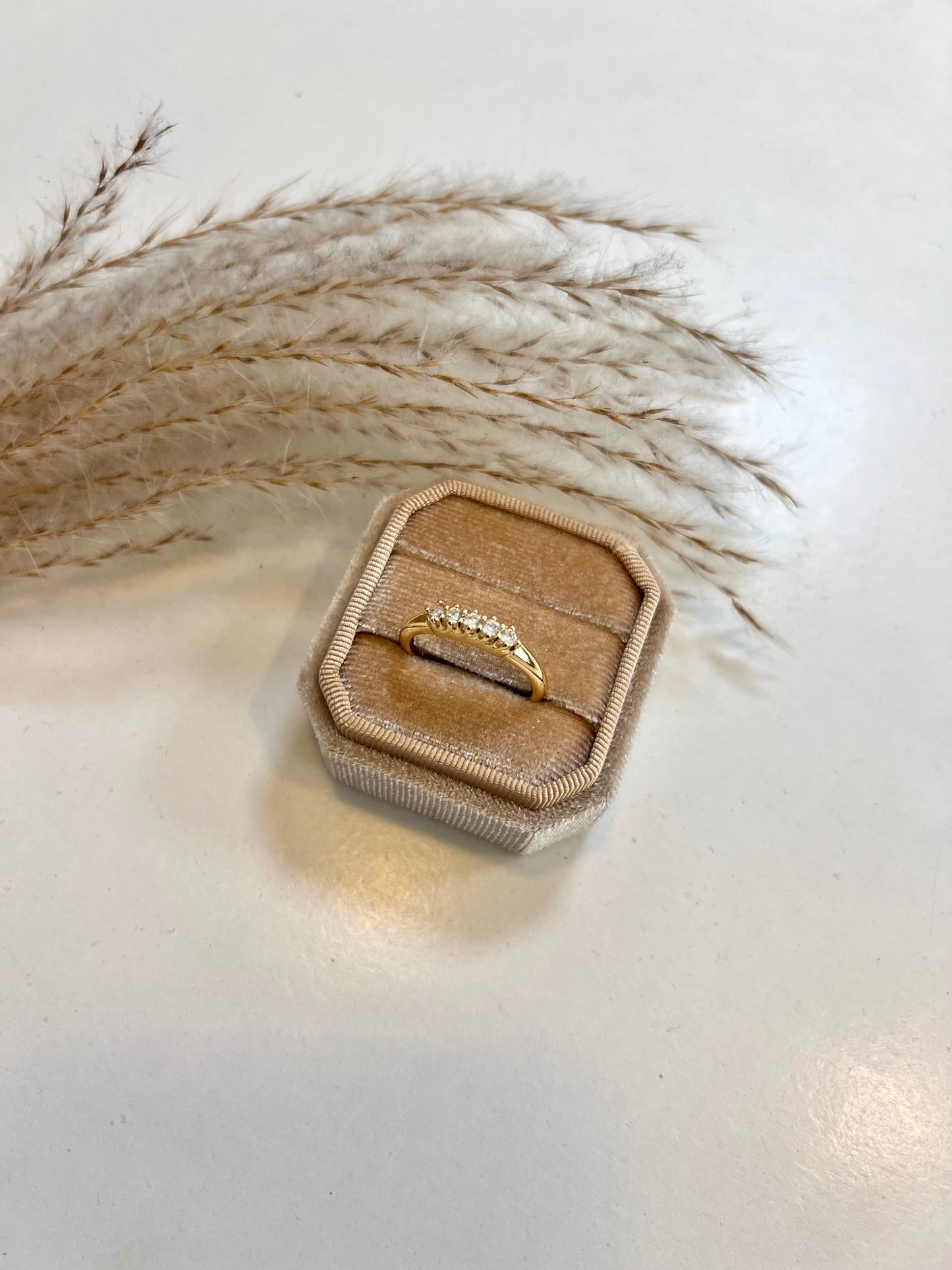 Alva Ring