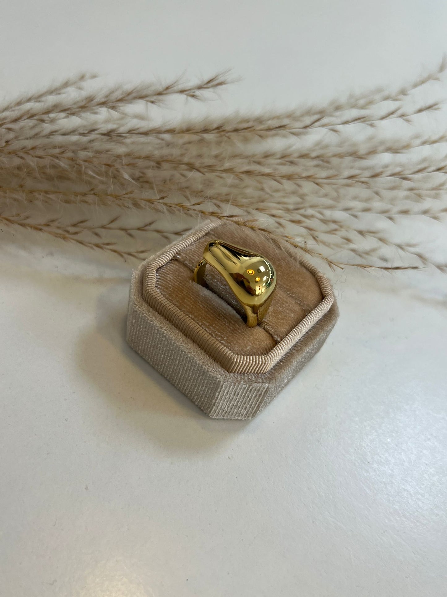 Ring Aria